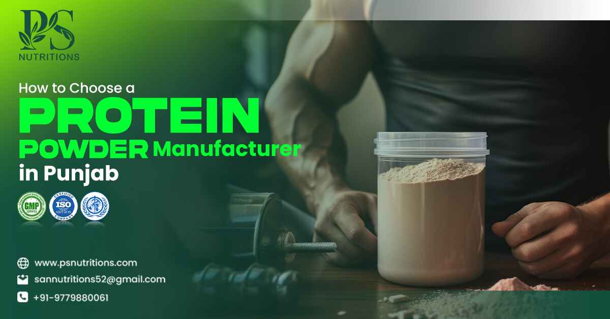 Protein Powder Manufacturer in Punjab