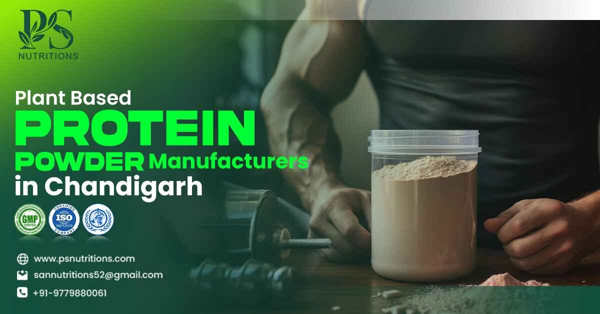 Plant-Based Protein Powder Manufacturers in Chandigarh