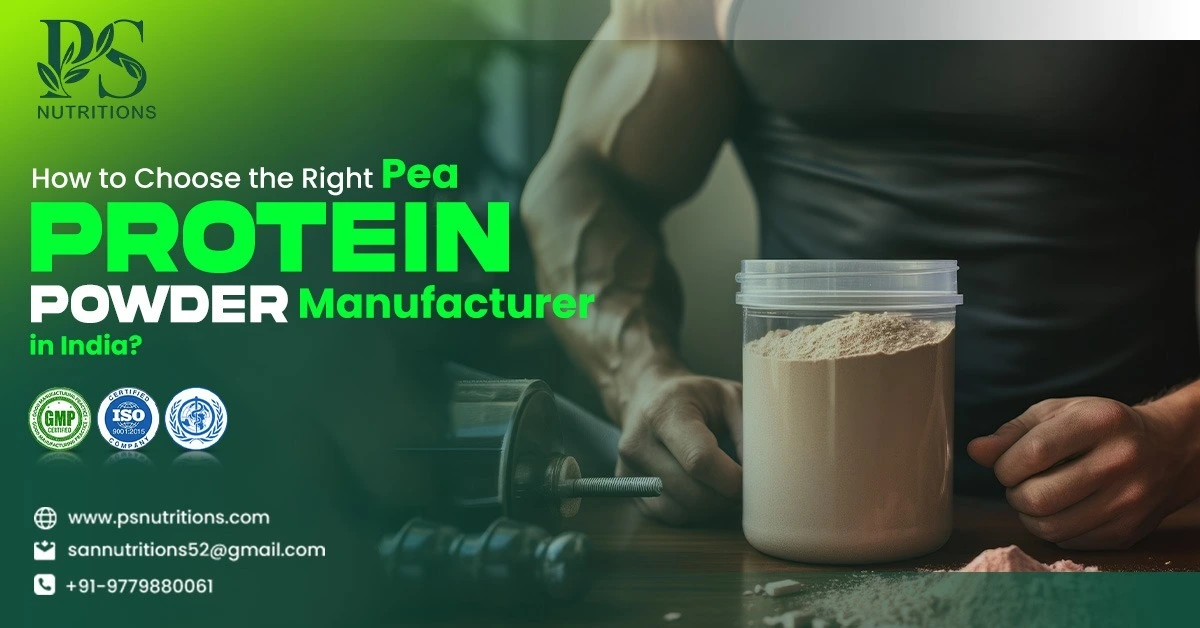 Pea Protein Powder Manufacturer in India